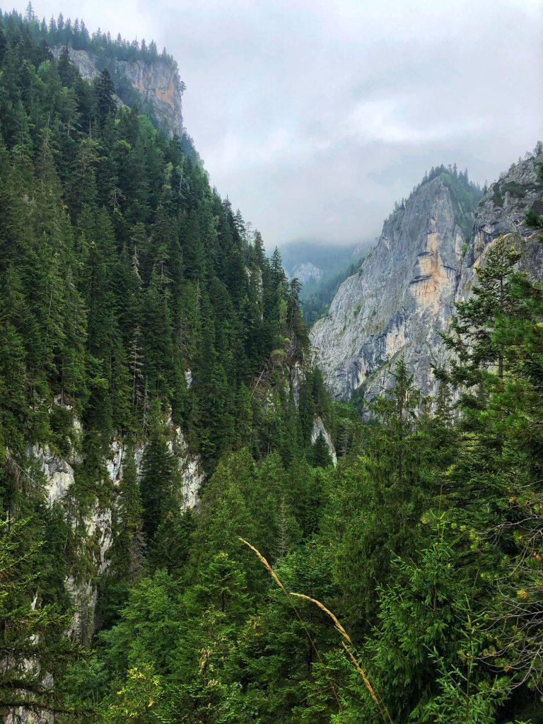 Cheile Bicajelului | OUTDOOR Magazine