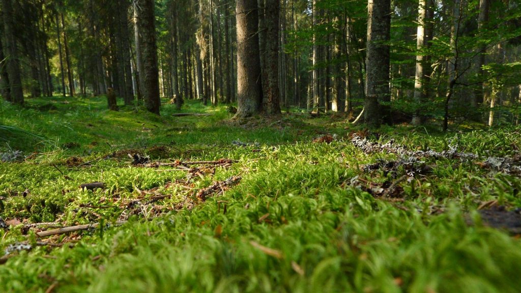 Padis | OUTDOOR Magazine