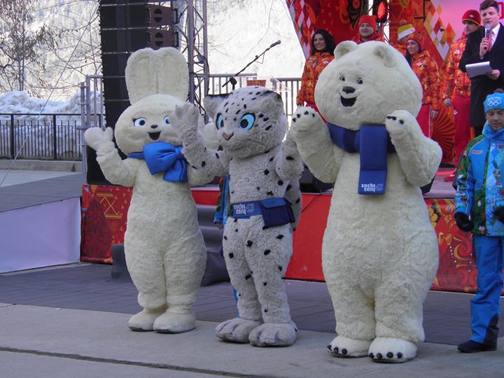 Drapelul Romaniei, Sochi 2014