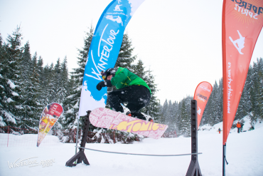 The Winter Tour 2017 - Sureanu