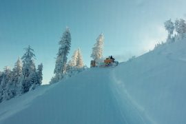 Sursa foto:http://bit.ly/2ikok2H
