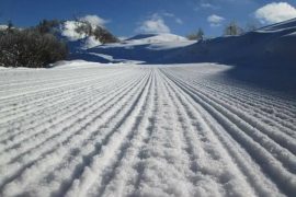 Sursa Foto:http://bit.ly/2leFsVS