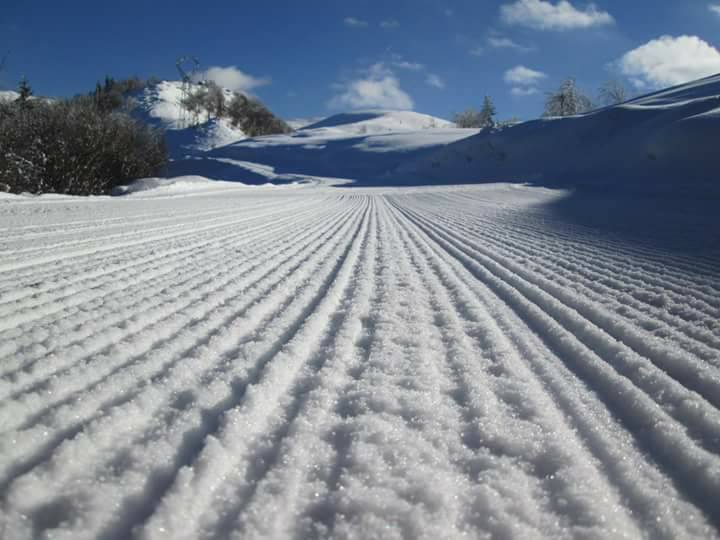 Sursa Foto: http://bit.ly/2CtIiNf